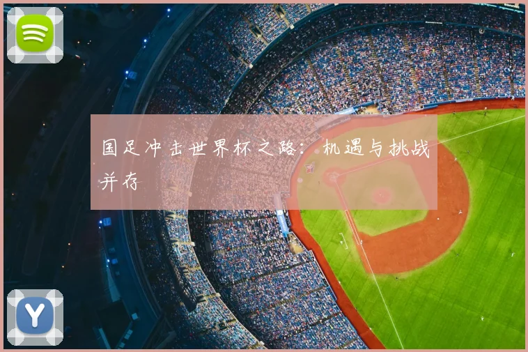 国足冲击世界杯之路:机遇与挑战并存