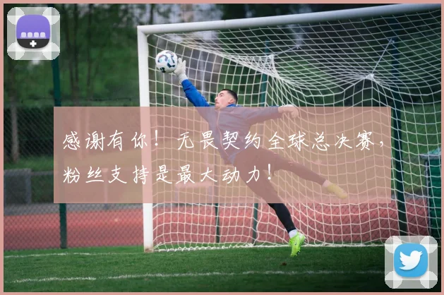 感谢有你!无畏契约全球总决赛,粉丝支持是最大动力!